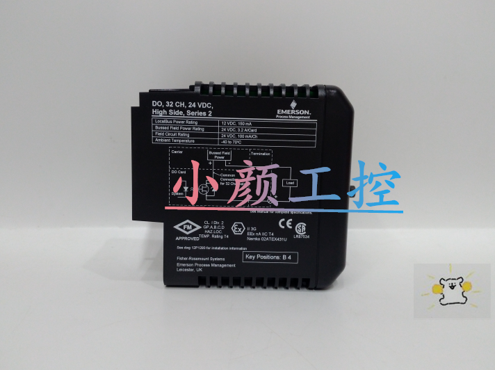 EMERSON 5X00489G01质量优 品质佳