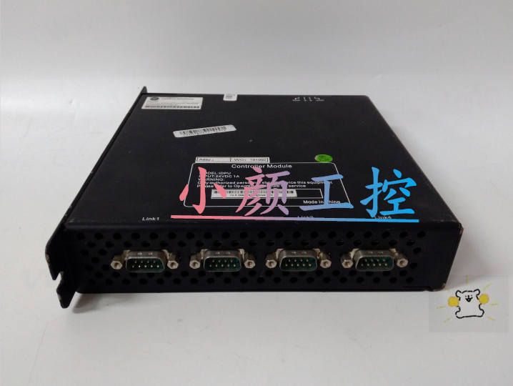 GE DS200LPPAG1AAA重视质量