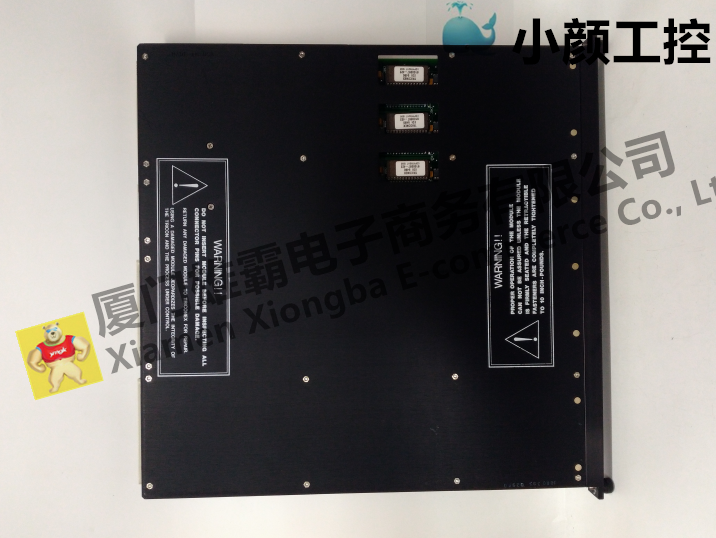 TRICONEX 4118卡件模塊