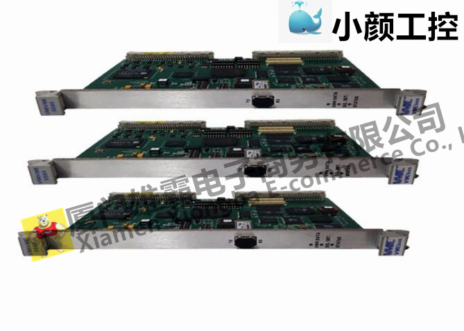 GE DS200DSFBG2A可編程控制模塊
