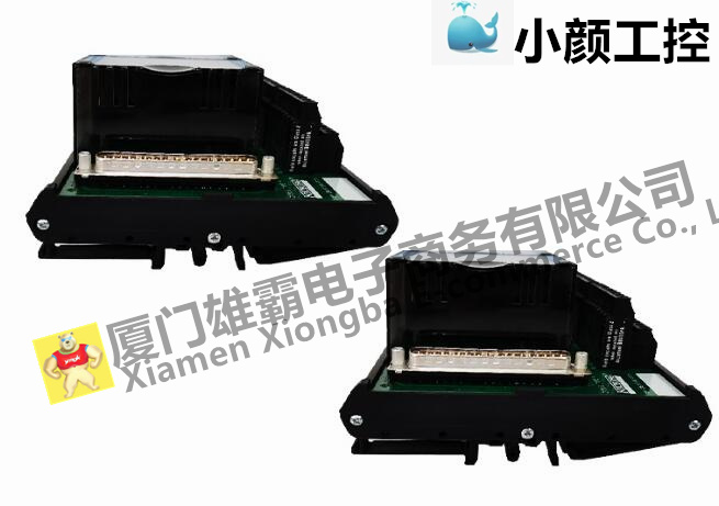 FOXBORO熱電阻輸入輸出模塊FBM205