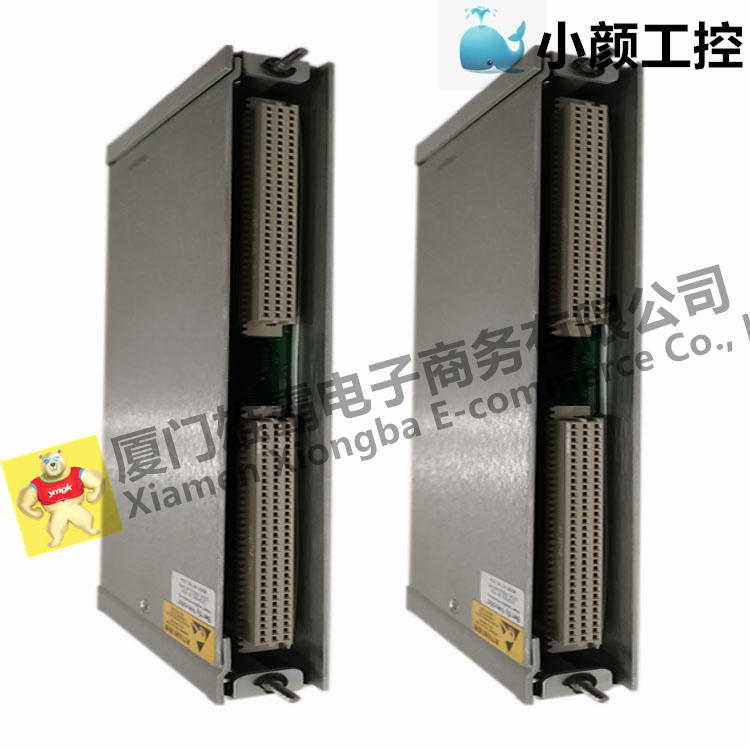 BENTLY 125760-01本特利振动监测仪表系统