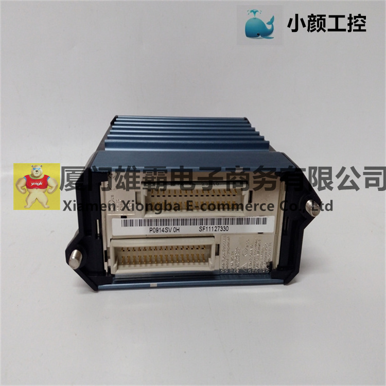 P0914SV热电偶 / 毫伏输入模块