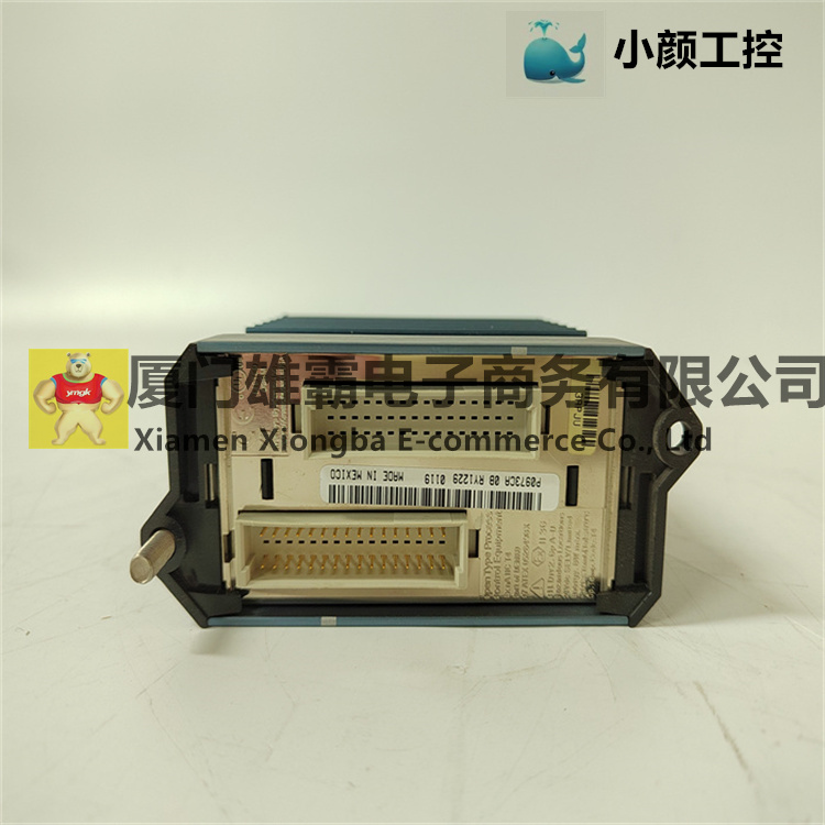 FEM100 现场总线扩展模块